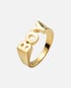 Ring Boy